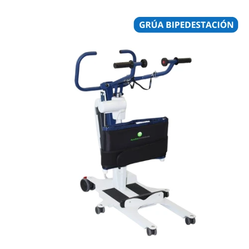 Alquiler de Grúa de Bipedestación (Cambia Pañales)
